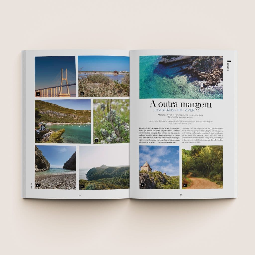 Revista Altis